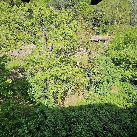 Appartement Malleval Chez Jeanne 외부 사진